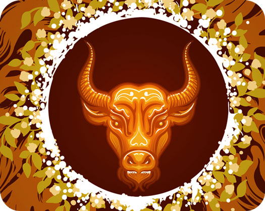 Bull Symbolism Tarot Meaning