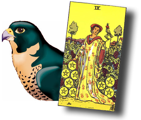 Falcon Meaning In Tarot