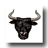 King Of Pentacles Meaning Bull