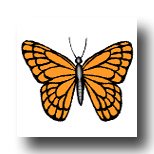butterfly Meaning in the Tarot