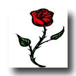 Rose meaning in Tarot